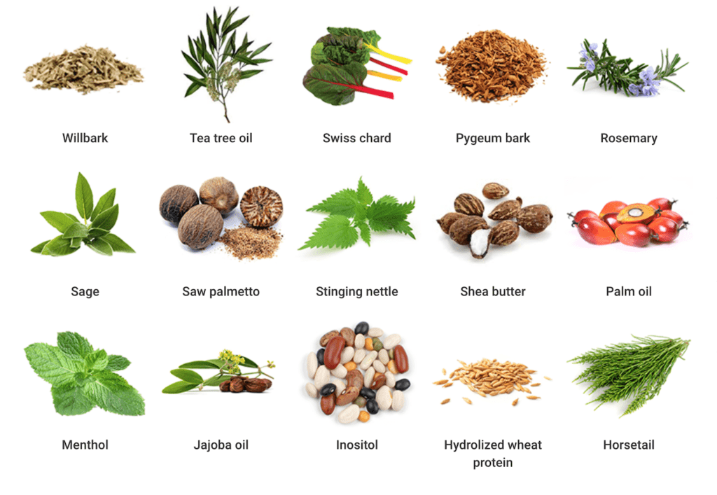 15 natural ingredients
